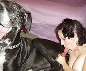 Ảnh Sex Chó Địt Người - Hình Sex Chó Địt Người